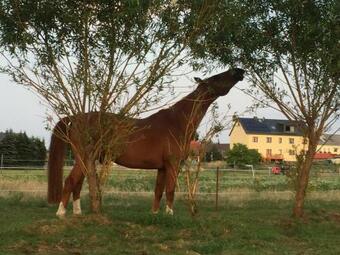 Hostal Heide-trail Dolle