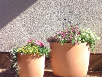 Apartamento Haus Dorfblick