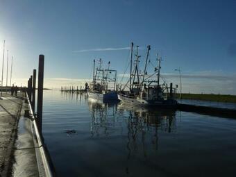 Apartamento Ehemaliges Waldkurhaus Drangstedt