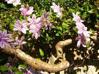 Bed & Breakfast Le Moulin Du Bignon