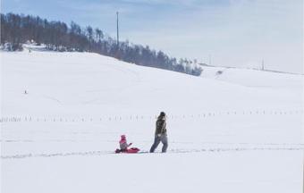 Apartamento Palazzetto 4