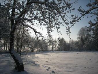 Bed & Breakfast Gartenzimmer Im Schloss Neuhausen