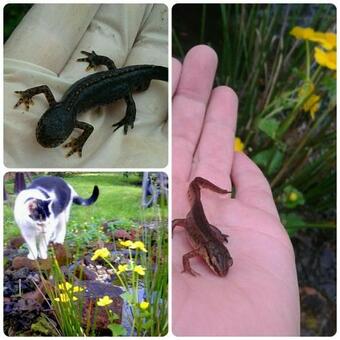 Apartamento Ferienwohnung Kirschbl�te