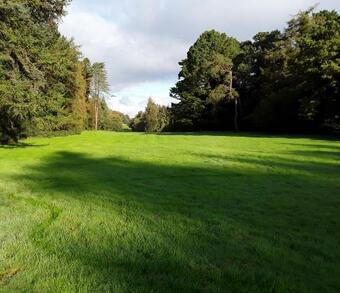 Apartamento Meadowbrook Studio