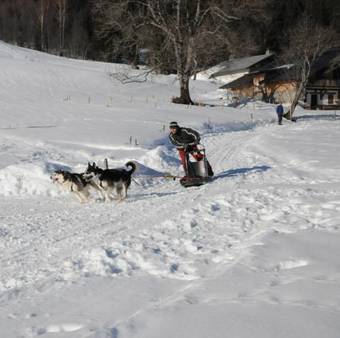 Hotel Chalet Du Vivier