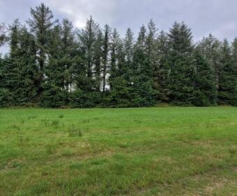 Apartamento The Cosy Cabin