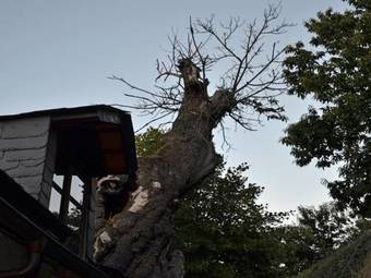 Hotel O Palleiro Do Pe Do Forno