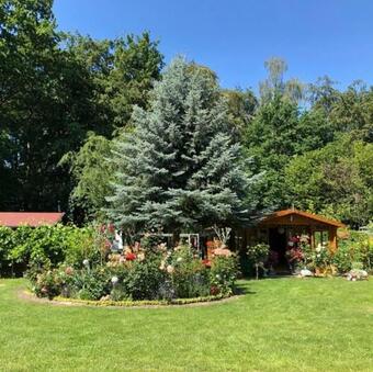 Apartamento Ferienwohnung Petersdorf