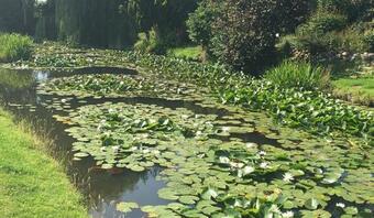 Apartamento Seerosenhof