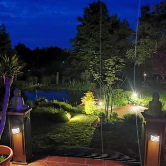 Apartamento No� B�rk�ja Vend�gh�z