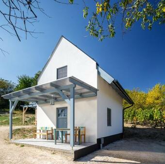 Hostal Bor�rium Vend�gh�zak - N�r� H�z