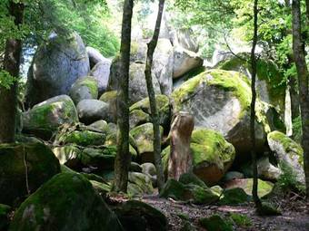 Posada Landgasthof Schweizerhaus