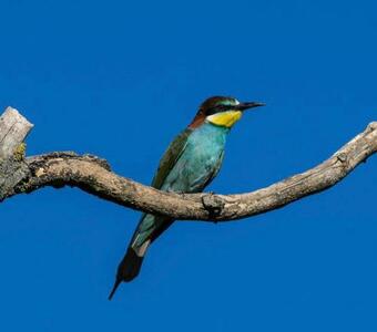 Bed & Breakfast Art-be-in-b Appartement -studios