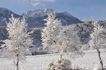 Hotel Pension Villa Blumegg