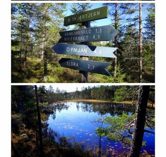 Mays Apartment, Koselig Leilighet Med Eget Kj�kken Og Bad, Wifi Rv22,e18