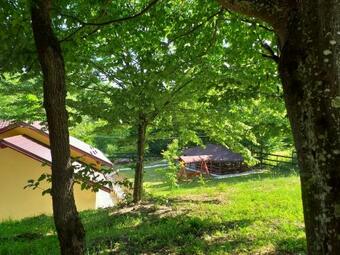 Villa Pensiunea Cet??ica