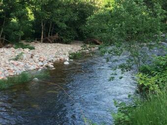 Apartamento Ferienwohnung Im G�stehaus Adler Albtal