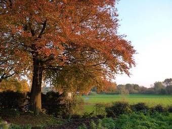 Hostal Haus Tourneur