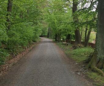 Apartamento Ferienwohnung Mit Blick Ins Gr�ne