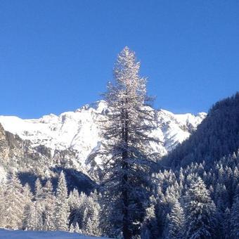 Agroturismo Stembergerhof - Urlaub Am Bauerhof