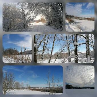 Hotel Landgasthof Plohnbachtal Ug