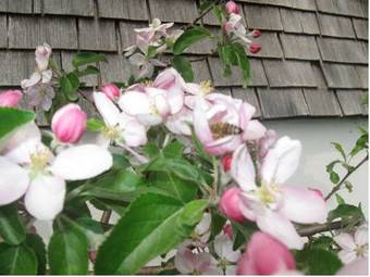 Apartamento Ferienwohnung Vogt