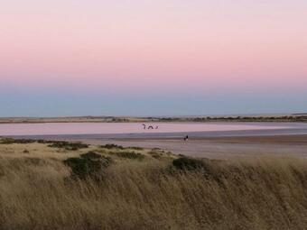Bed & Breakfast Pink Lake Tiny House - 'peony'
