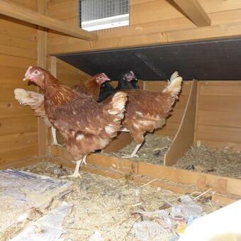 Apartamento Rural Ambience With Netflix