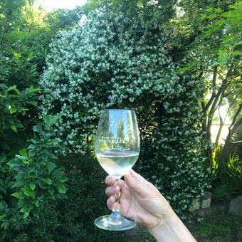 Holly House Bed & Breakfast