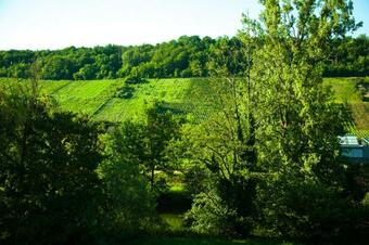 Hostal Pension-bistro-m