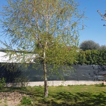 Apartamento Appartamento Da Natallia