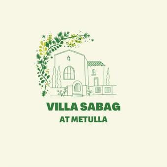 Villa Sabag At Metulla