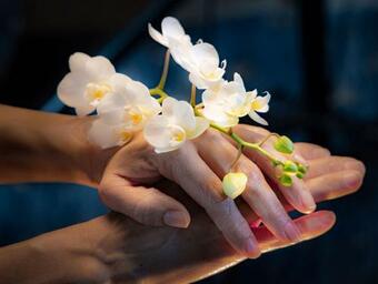 Villa Maisonnette Frea