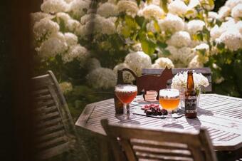 Bed & Breakfast Les Chambres Du Chat