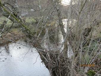 Apartamento Casa Maria