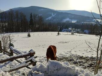 Hostal Pension J�zd�rna