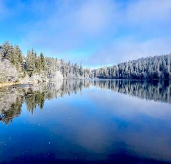 Lapland Lodge Pyh�, Free Wifi, Sauna, Ski In - Ski Out