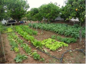 Apartamento Le Jardin De Temeni