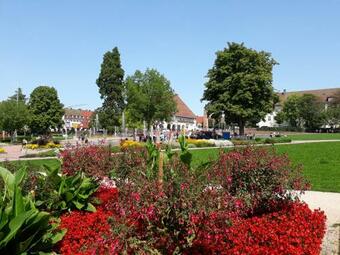Apartamento Fuchs Und Has - Gut 'nacht