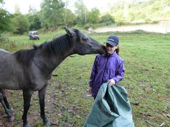 Bed & Breakfast Chambres D'h�tes Ch�teau De Bellevue