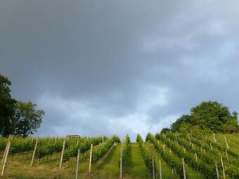 Agroturismo Rural Holiday Home "rim" Ruralna Ku?a Za Odmor