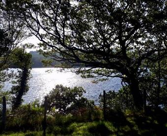 Ade's River Cabin