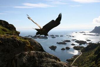 Lodge Lofoten Cabin And Kayak Rental