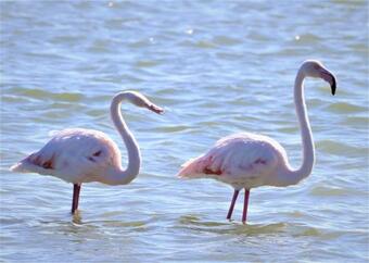 Apartamento 47 On Waterkant Unit A