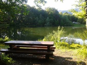 Casa De Vacanta Pintea