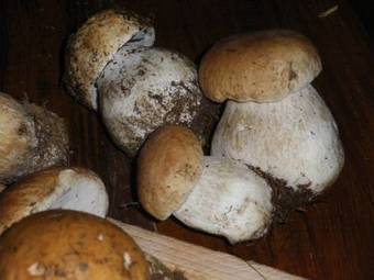 Hotel Restaurant Du Lion D'or