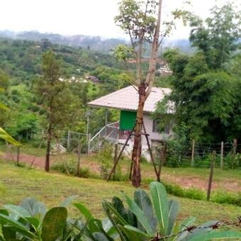 Saithonghouse The Garden