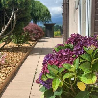 Stunning 6-bed Villa In Etoy