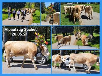 Apartamento Le 13, Charmant Appartement De 2 Pi�ces � Lignerolle