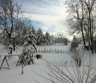 Apartm�ny U Knajfl?